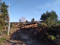 Mitigación de árboles en Sector de Valle del Agua, los cuales bloqueaban acceso a vehículos de Emergencias